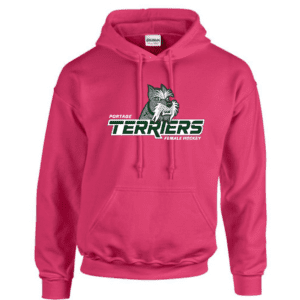 G185 Gildan Heavy Blend 8 oz., 50/50 Hooded Sweatshirt - Heliconia