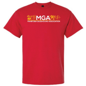G200 Gildan Ultra Cotton T-Shirt - Red